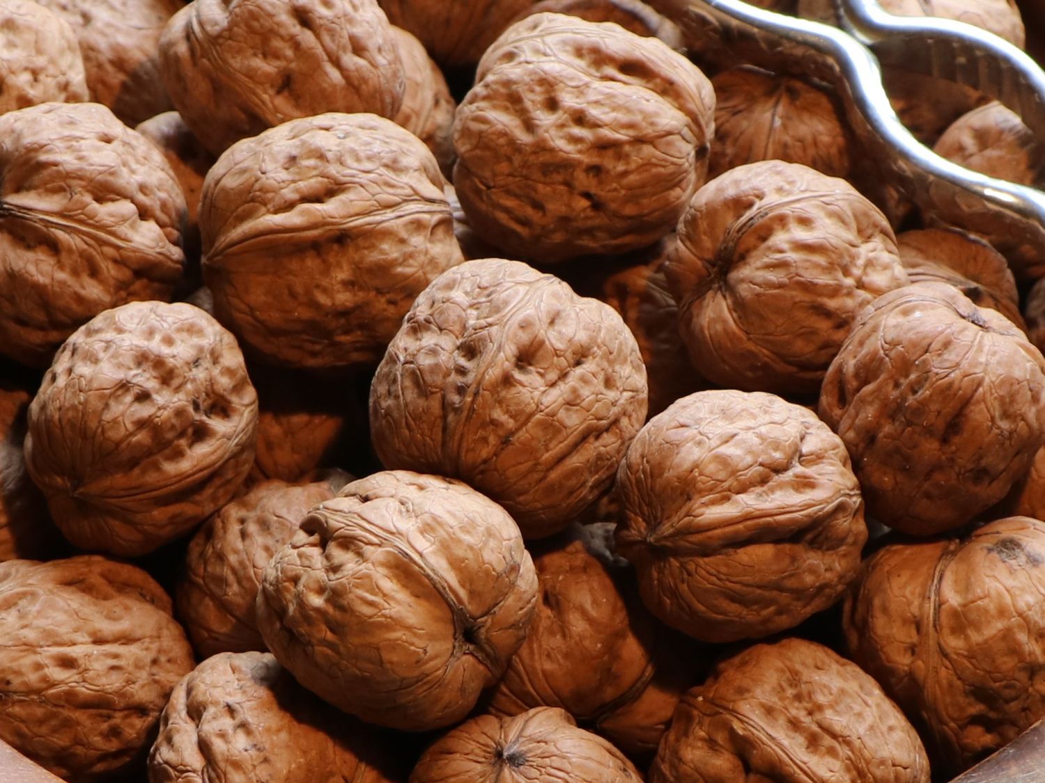 Walnuss 'Mars' Veredelung