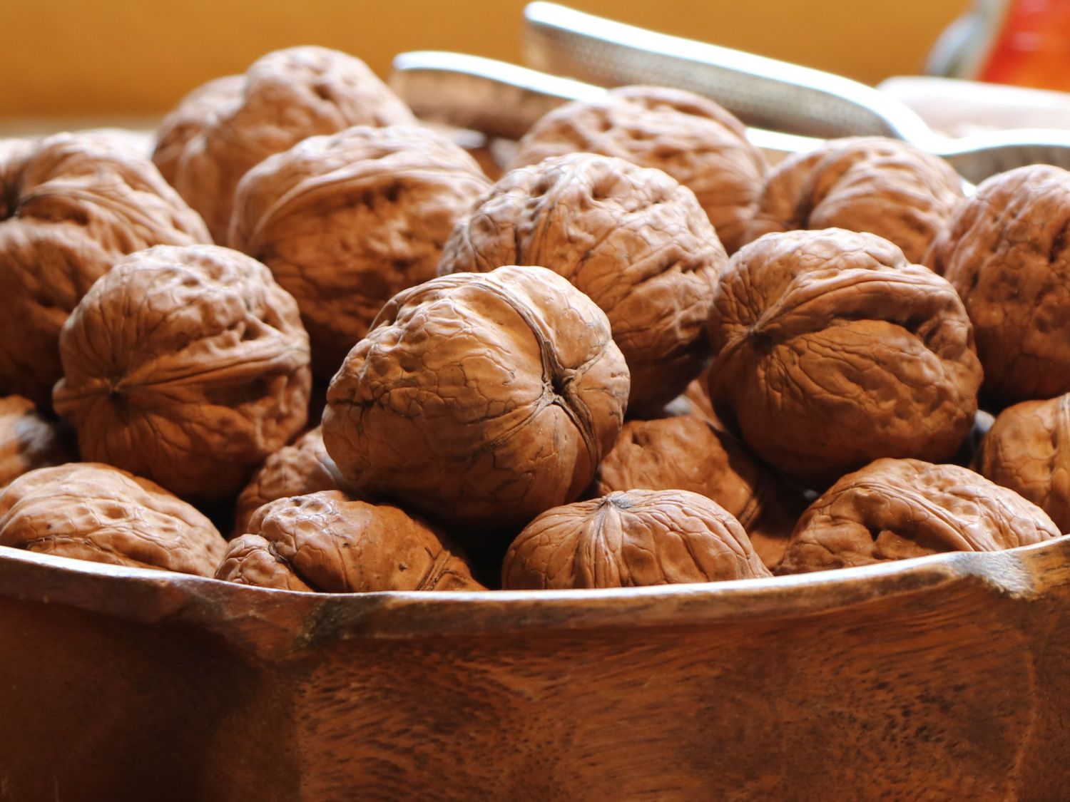 Walnuss 'Mars' Veredelung - Juglans regia 'Mars' Veredelung