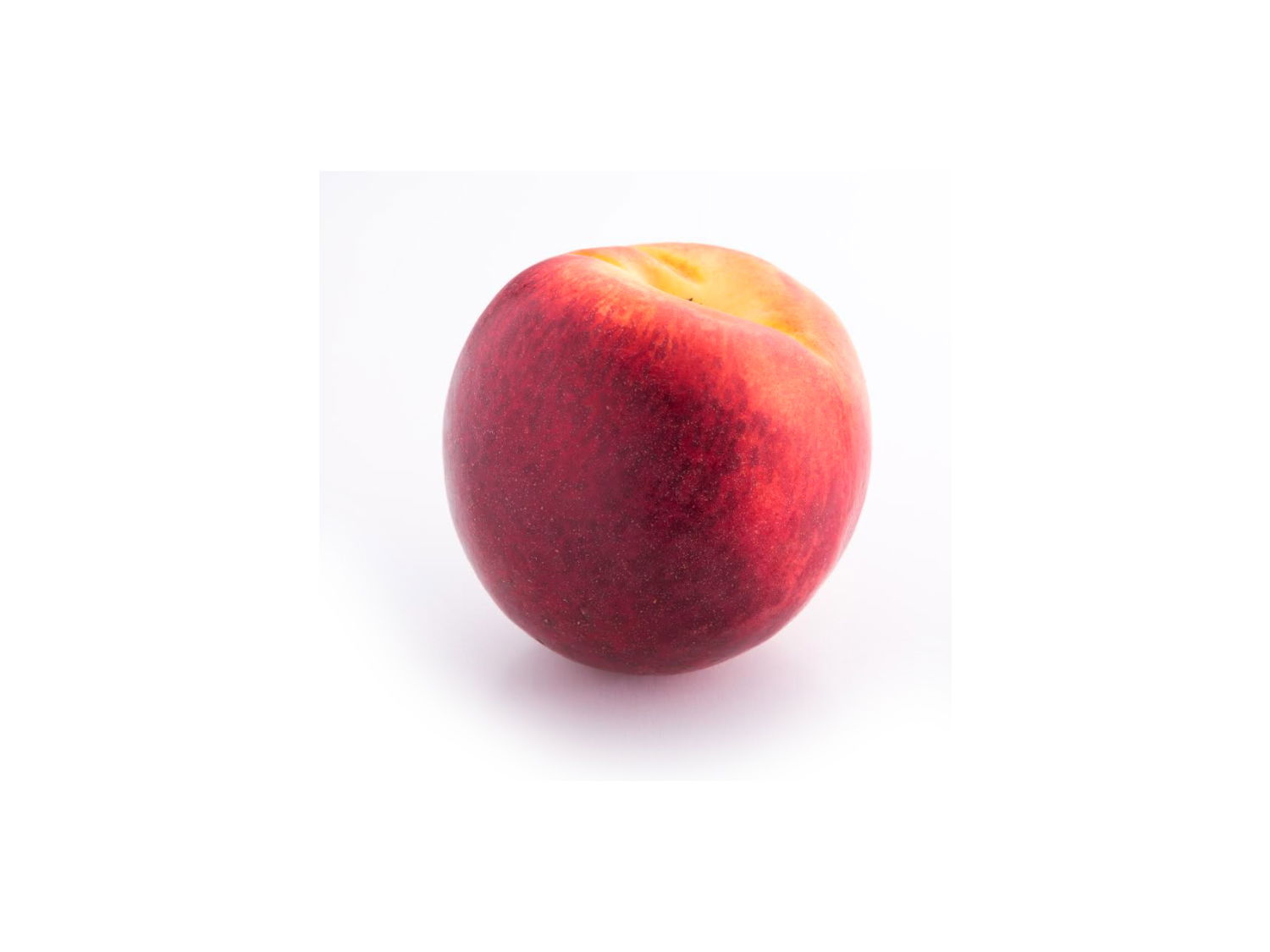 Zwergnektarine 'Nectarella' - Prunus persica var. nucipersica 'Nectarella'