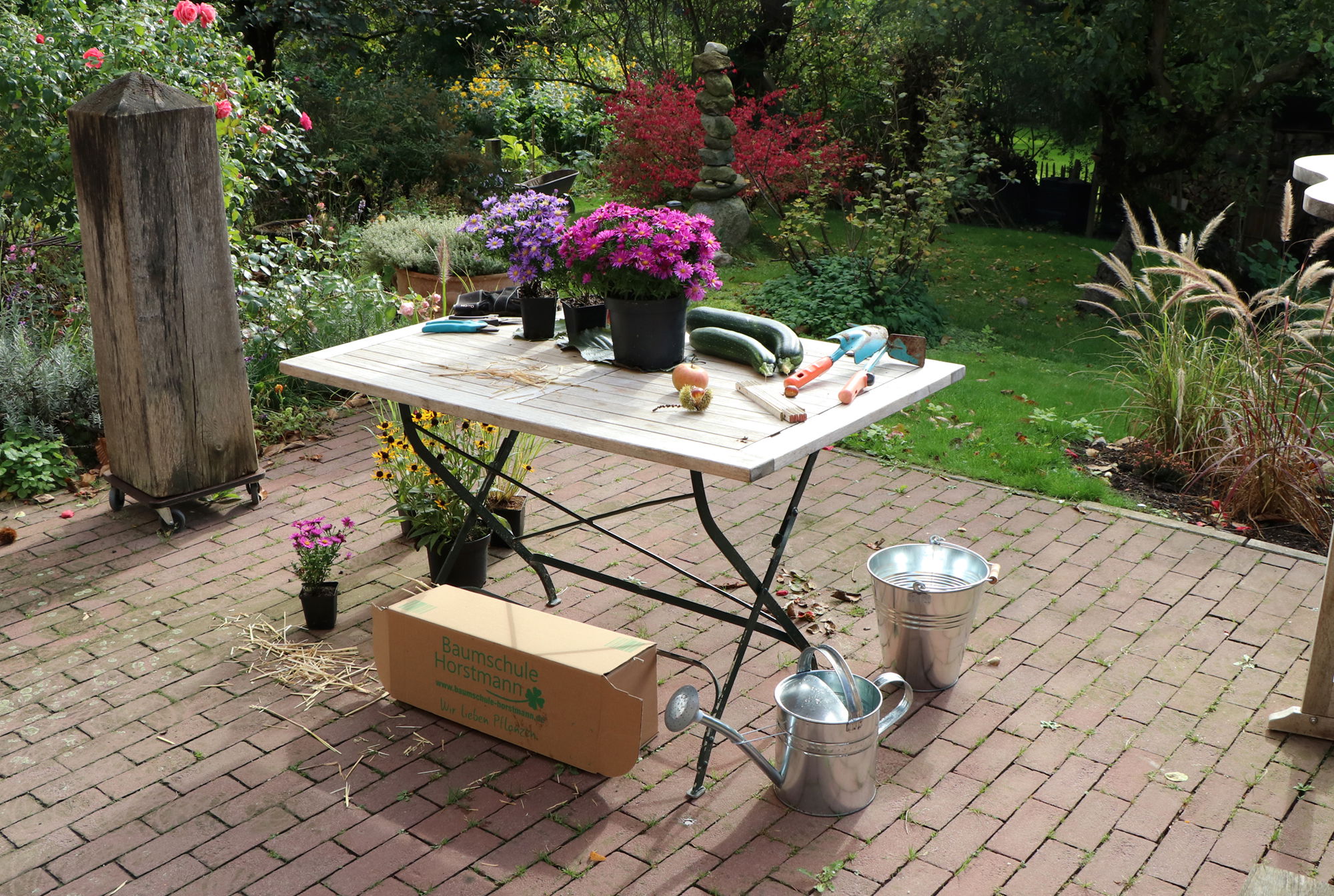 Erste Schritte nach Erhalt Deiner Pflanzen