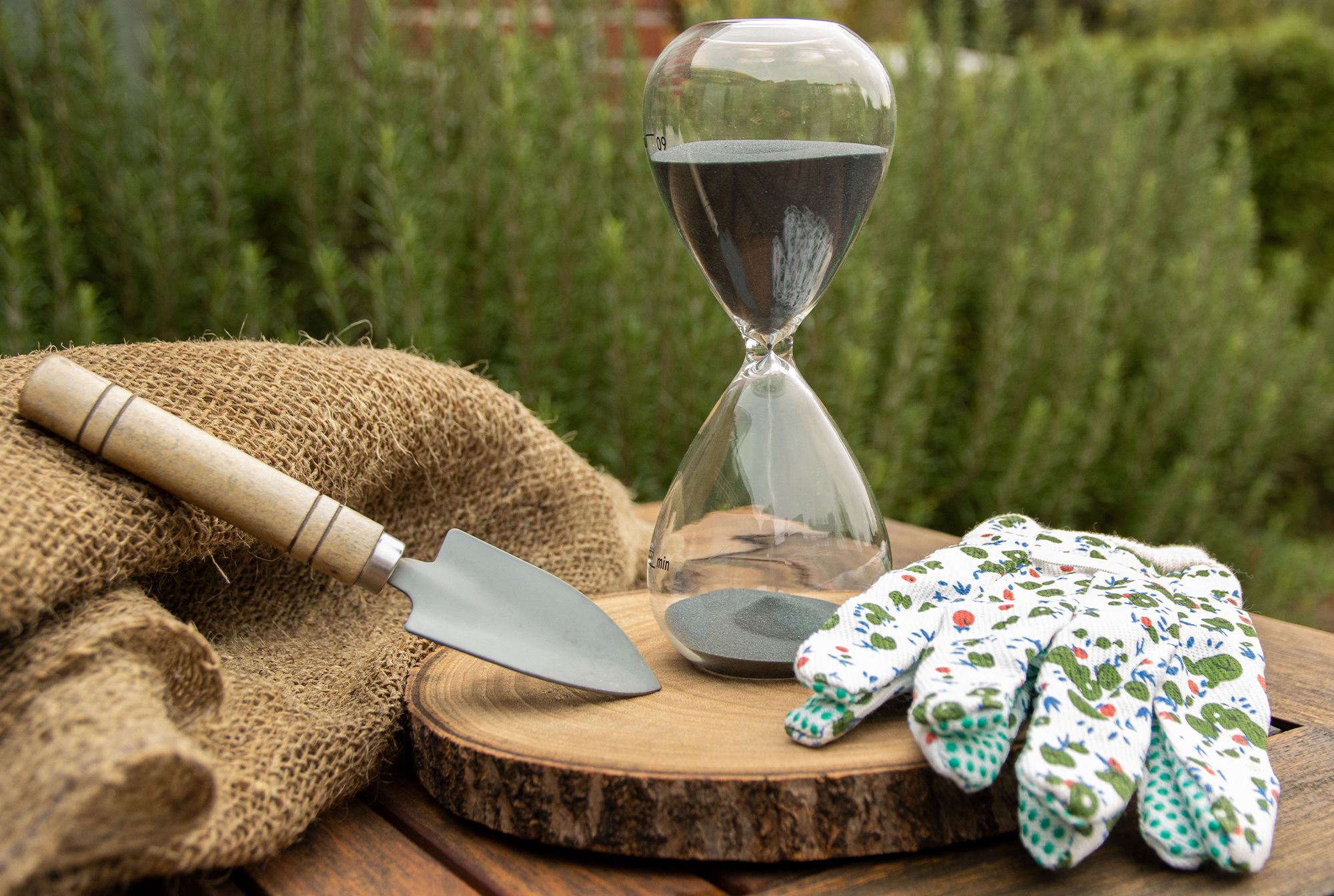 Keine Zeit zum Einpflanzen