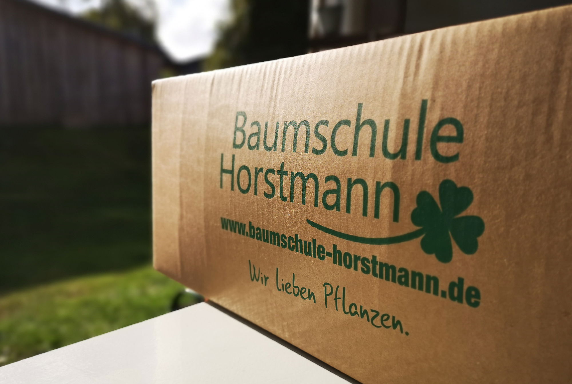 Lieferqualität und Lieferzustand