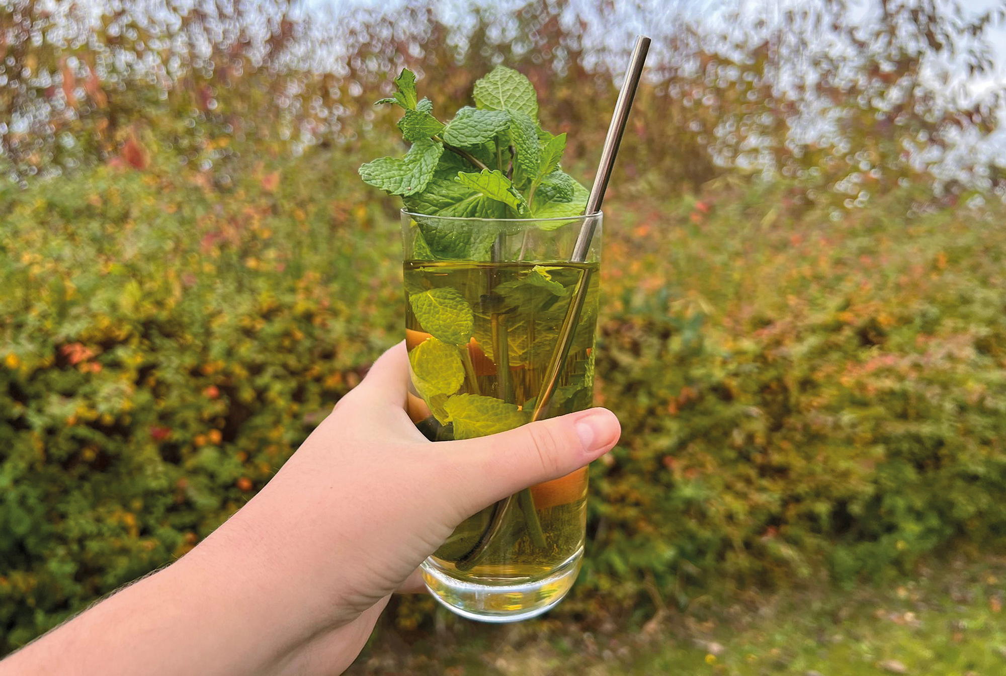 Selbstgemacht: Pfefferminz-Eistee