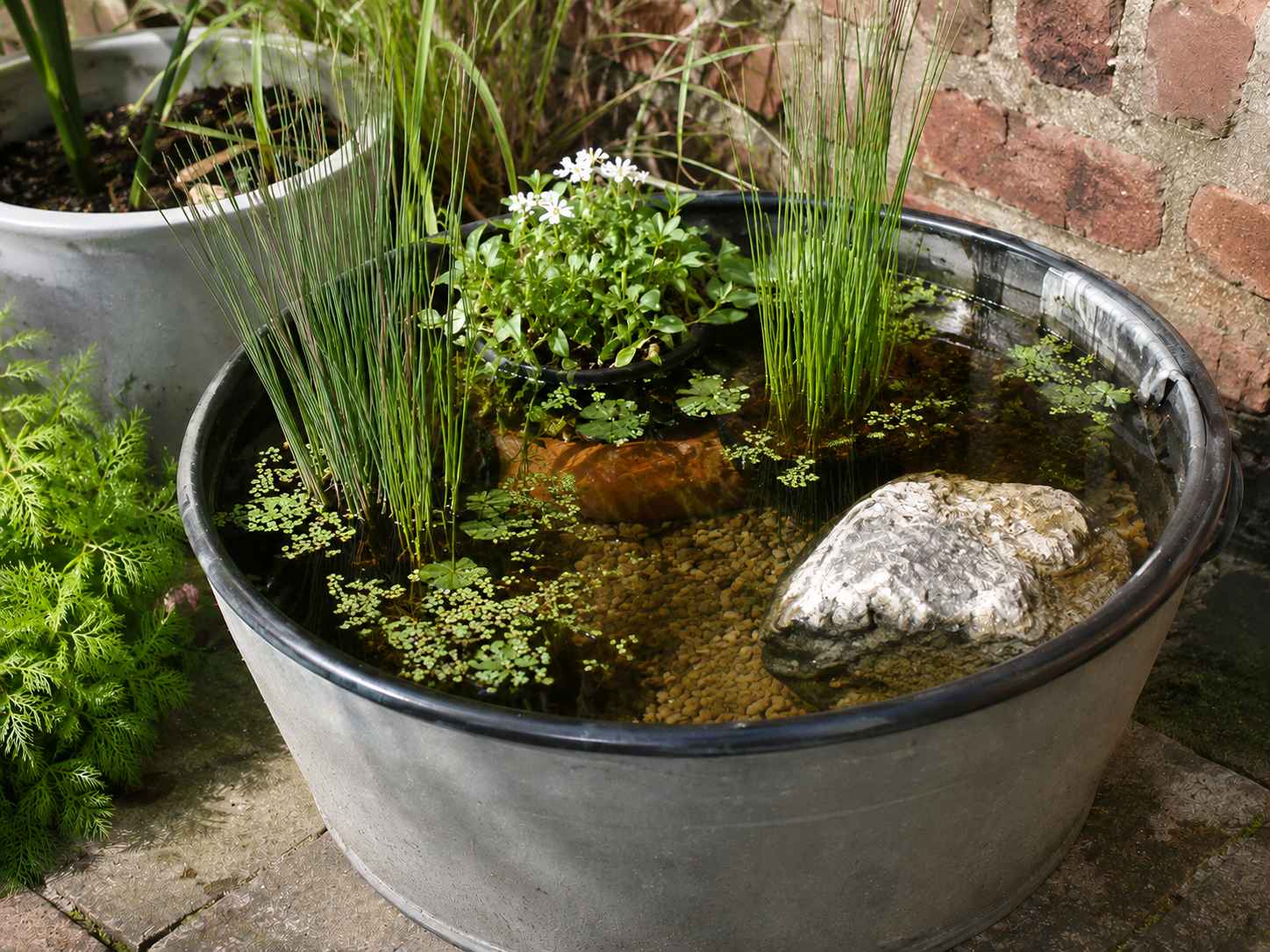 Selbstgemachtes: Mini-Teich anlegen