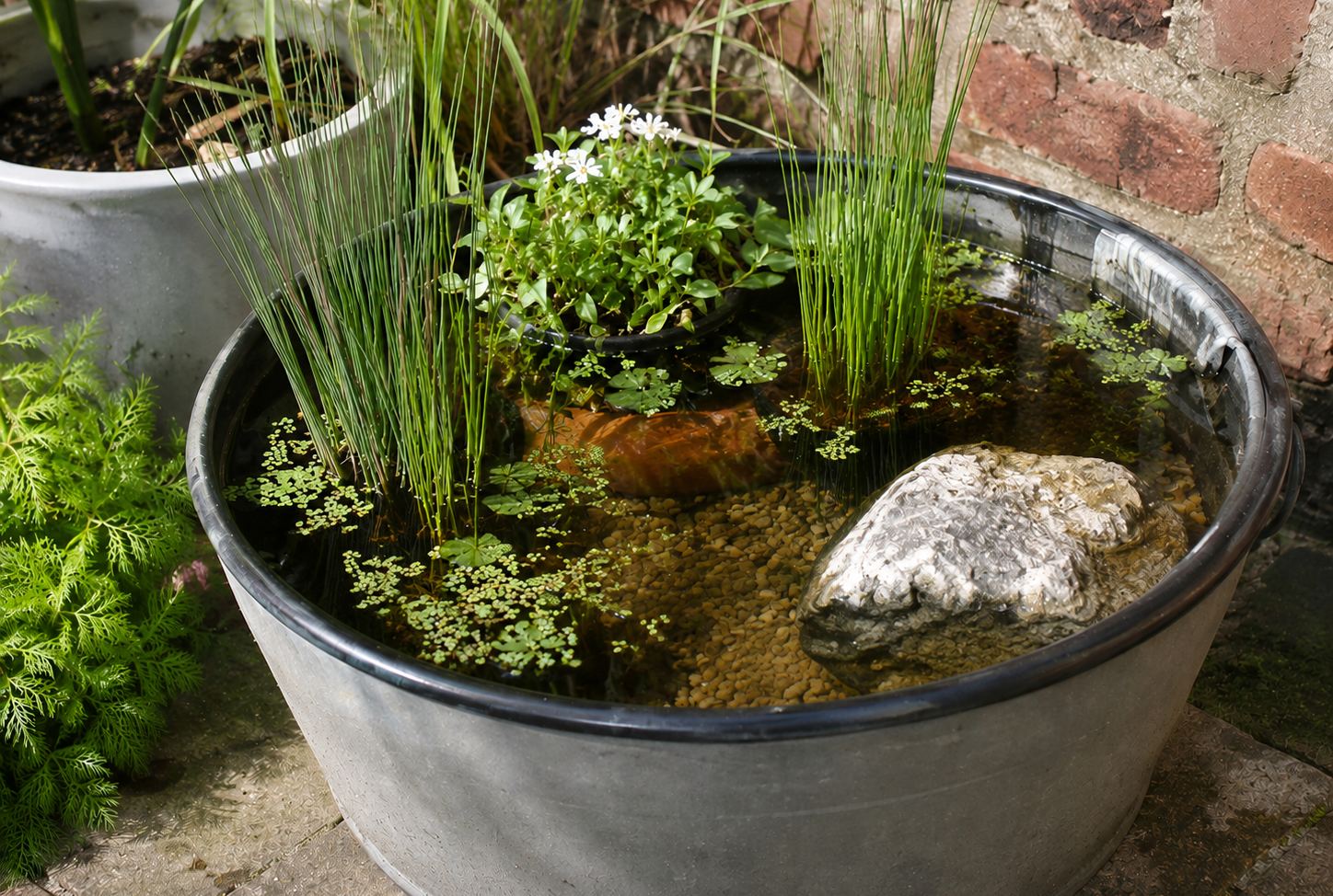 Selbstgemachtes: Mini-Teich anlegen