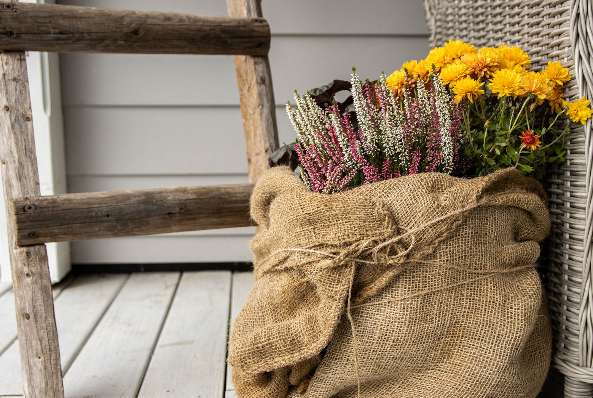Winterschutz für Stauden